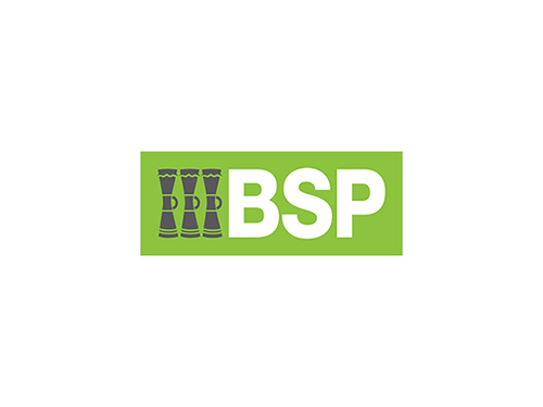 BSP Group Logo