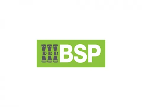 BSP Group Logo